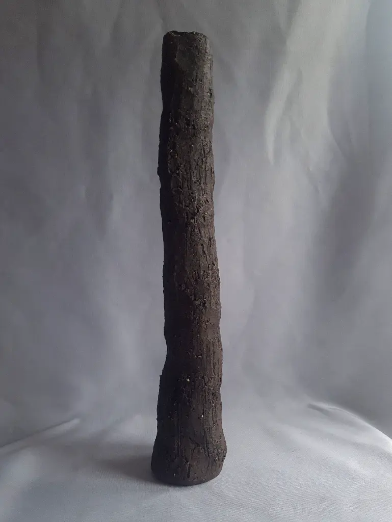 20250121_091436.webp