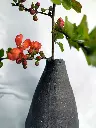 IMG_20250409_095605.webp