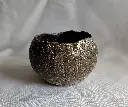 Rock Bowl