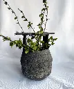 Ancient Pail