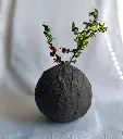 Rock Orb Vase