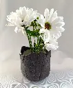 Rock Planter