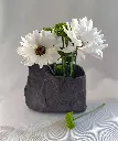 Quiet Cliff Vase