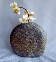 Moon Vase