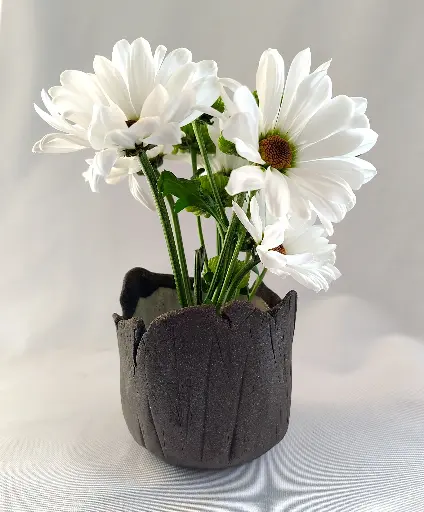 Rock Planter