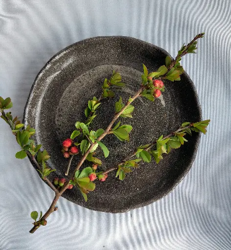 Enso Plate